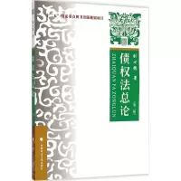 音像债权总刘心稳 著