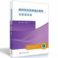 音像微纳电动流体输运基础及数值实现周腾,闻利平,史留勇著
