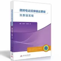 音像微纳电动流体输运基础及数值实现周腾,闻利平,史留勇著