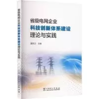 音像省级电网企业科技创新体系建设理论与实践夏彦卫主编