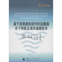 音像基于高频虚拟组件的运载器水下导航及海洋遥感技术
