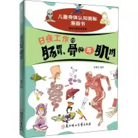 音像日夜工作的肠胃、骨骼与肌肉作者