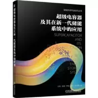 音像电容器及其在新一代储能系统中的应用王凯[等]著