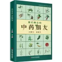 音像我们身边的朋友王立新著