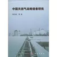 音像中国天然气战略储备研究周志斌 等 著