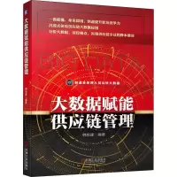 音像大数据赋能供应链管理韩胜建 编