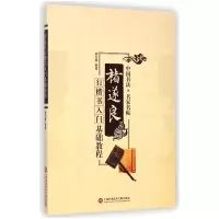 音像褚遂良行楷书入门基础教程/中国书法名家名帖杨红春