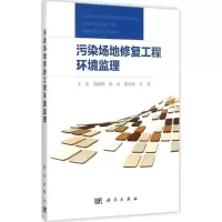 音像污染场地修复工程环境监理王水 等 著