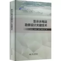音像彭水水电站勘察设计关键技术吴效红等著