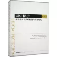 音像司法保护促进中国消费的机制与实研究周洲