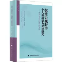 音像抗逆力视野中个人暴力犯罪研究:基于2个案例的分析王飞著