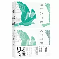 音像老鹰想飞沈振中