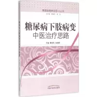 音像糖尿病下肢病变中医治疗思路曹烨民,张朝晖 主编
