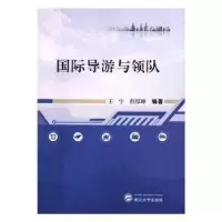 音像国际导游与领队王宁,彭厚坤编著