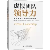 音像虚拟团队领导力(英)彭妮·普兰