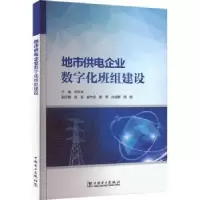 音像地市供电企业数字化班组建设郑怀华主编
