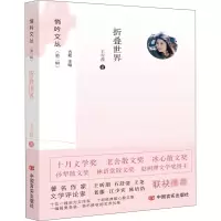 音像折叠世界王雪茜