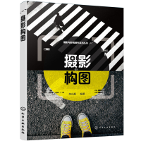 音像摄影与影视制作系列丛书-摄影构图单光磊 编著