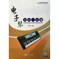 音像琴入门一点通郑霁元 著