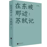 音像在东坡那边:苏轼记于坚