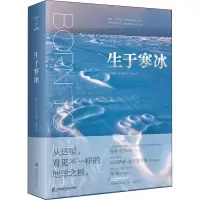 音像生于寒冰(加)保罗·尼克伦