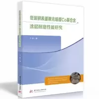 音像低碳钢表面激光熔覆CO合涂层耐磨能研究丁林著