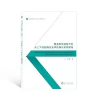 音像复杂科学视角下的水上飞机起降安全风险演化机理研究肖琴著