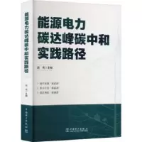 音像能源电力碳达峰碳中和实践路径:赵亮主编