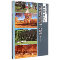 音像绘画素材图典(森林草原风光共2册)/大众美术丛书温倩//雨辰