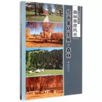 音像绘画素材图典(森林草原风光共2册)/大众美术丛书温倩//雨辰