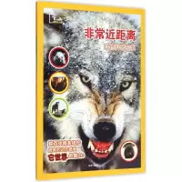 音像近距离宁峰 主编