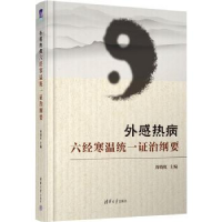 音像外感热病六经寒温统一治纲要周晓虹主编