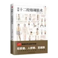 音像图解十二经络调筋术---轻图鉴系列2陈飞松,于雅婷主编