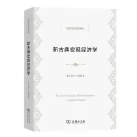 音像新古典宏观经济学[美]凯文·D.胡 著