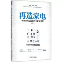 音像再造家电陈润 著
