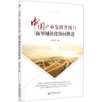 音像中业集群升级与新型城镇化协同推进曾祥炎|责编:任爱清