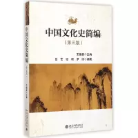 音像中国文化史简编(第3版)王锦贵