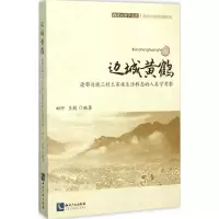音像边城黄鹤田阡,王剑 编著