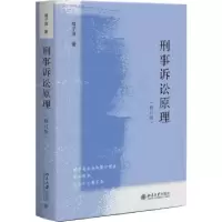 音像刑事诉讼原理邓子滨著