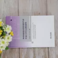 音像钾修饰镁铝水滑石富氢气体中温CO/CO2净化研究朱炫灿著