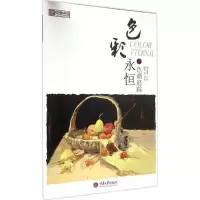 音像色彩永恒李睿 编著