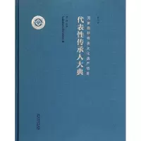 音像非物质文化遗产项目代表传承人大典罗微 主编