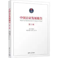 音像中国公发展报告(辑)廖永安主编