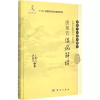 音像唐祖宣温病解读王振江,唐静雯 主编