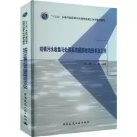 音像城镇污水收集与处理系统提质增效技术及应用李激,邱勇编著