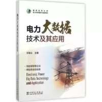 音像电力大数据技术及其应用王继业主编