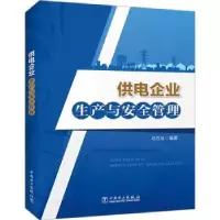 音像供电企业生产与安全管理马苏龙编著