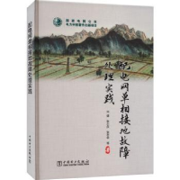 音像配电网单相接地故障处理实践刘健[等]著