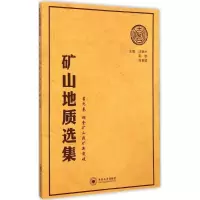 音像矿山地质选集汪贻水,彭觥,肖垂斌 主编