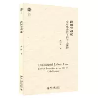 音像跨国劳动法:全球化条件下的劳工保护陈一峰著